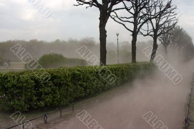 Wind before thunderstorm