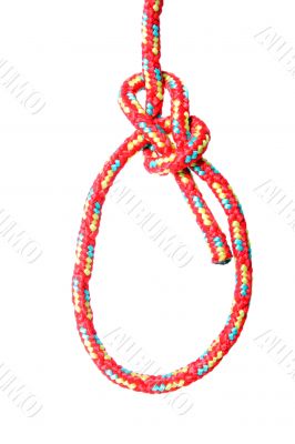 Bowline knot