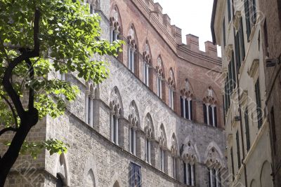 Siena - Historic palace and tree