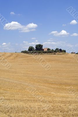 Farm in Tuscany, near Siena