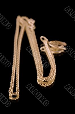 Golden chain and scorpion macro