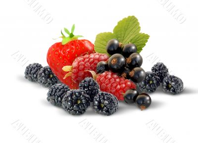 Fresh Berry Selection