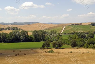 Landscape in Tuscany at summer