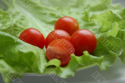 tomatos cherry on the plate