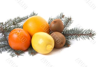 Tropical fruits and branch of fir.