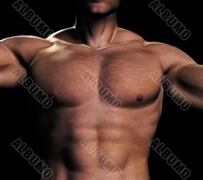 man torso