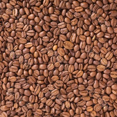 Coffee beans texture