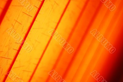 Orange Background Texture