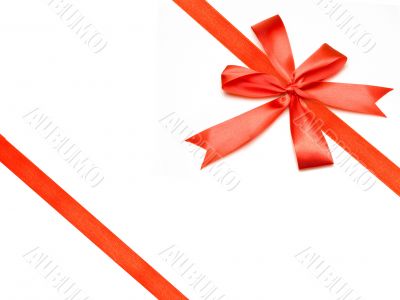Decor on white background Decor on white background