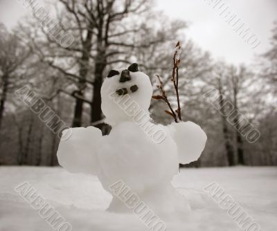 Small snowman Small snowman