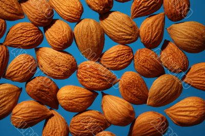 Nuts on blue background.