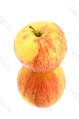 apple on white