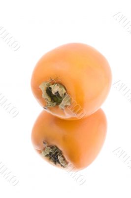 persimmon