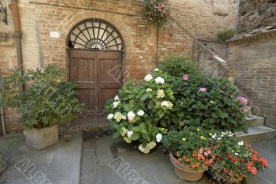 Buonconvento (Tuscany) - Door and potted plants