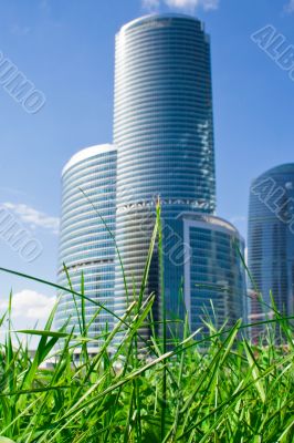 Nature and skyscraper