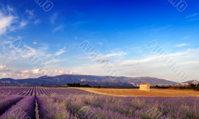 Landscape in Provence, France