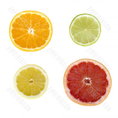 Citrus fruit slices Citrus fruit slices