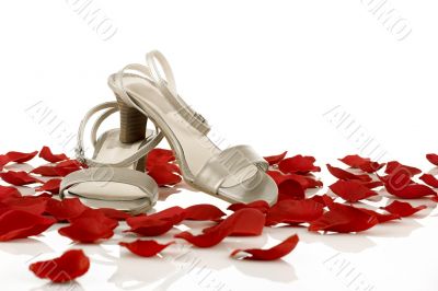 Female sandals Female sandals