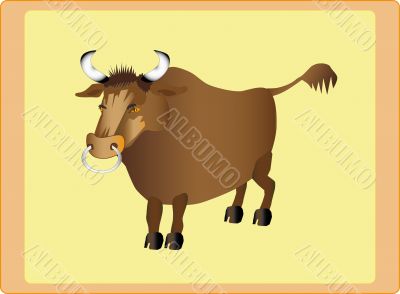 Brown bull