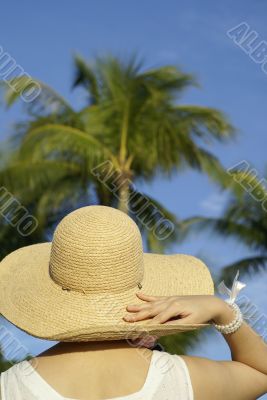 Tourist with tropical coconut trees