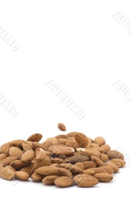 almond closeup