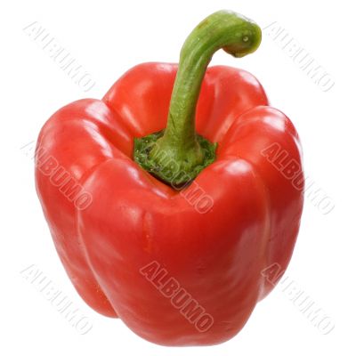 Red sweet pepper