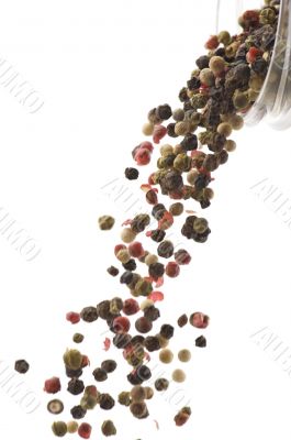 dried peppers close up