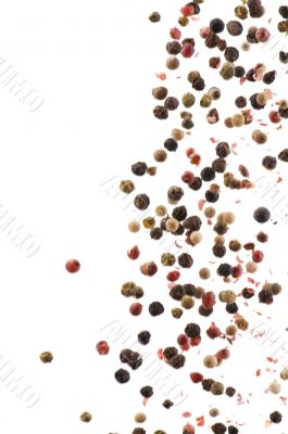 dried peppers closeup