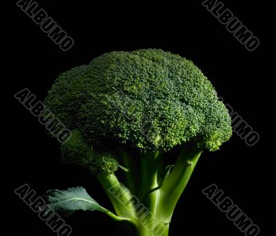 broccoli