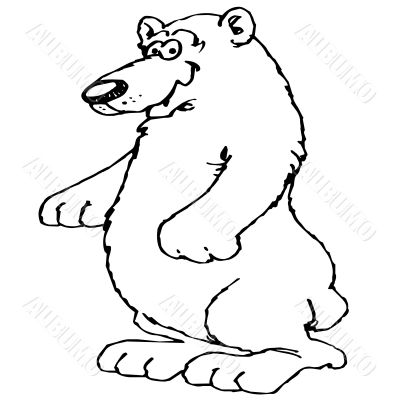 Funny white bear