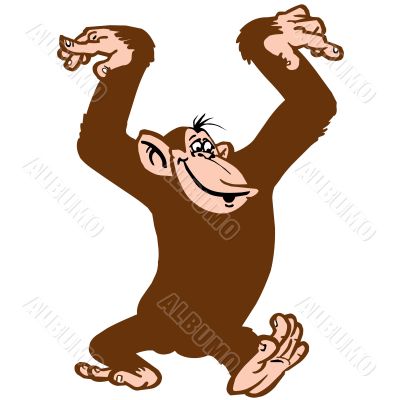 Funny monkey