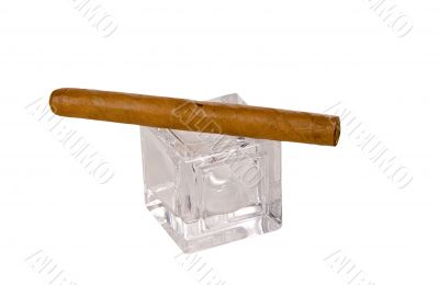 long brown havana cigar on glass cube