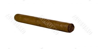 long brown havana cigar