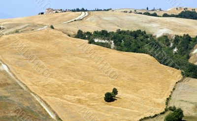 Crete senesi, characteristic landscape in Val d`Orcia Crete senesi, characteristic landscape in Val d`Orcia