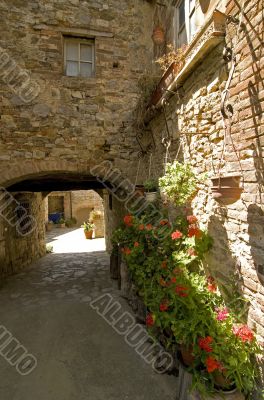 Villa a Sesta (Chianti) - House with plants and flowers