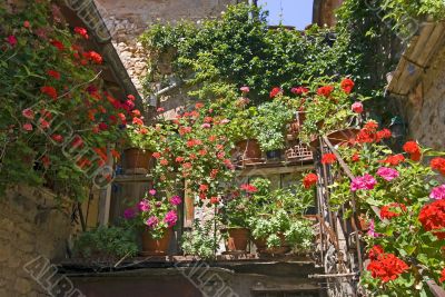 Villa a Sesta (Chianti) - House with plants and flowers
