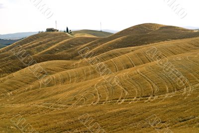 Crete senesi, characteristic landscape in Val d`Orcia Crete senesi, characteristic landscape in Val d`Orcia