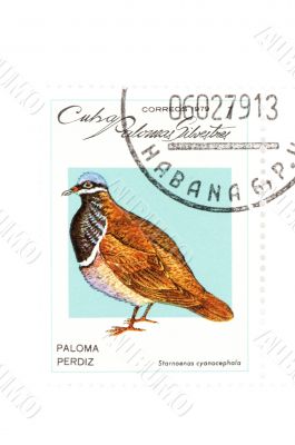 postage stamp bird