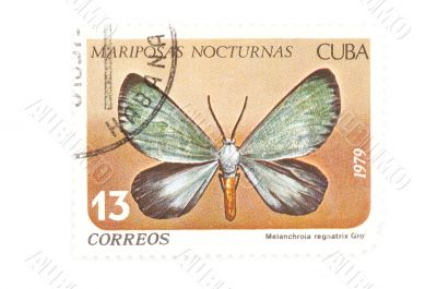 postage stamp butterfly close up