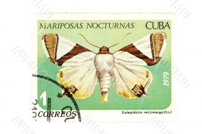 postage stamp butterfly closeup