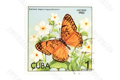 postage stamp butterfly on white