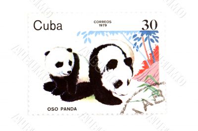 postage stamp panda