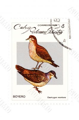 stamp bird