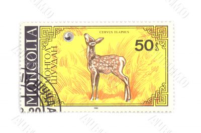postage stamp deer on white