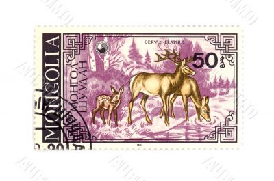 postage stamp deer