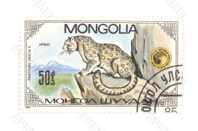 postage stamp panthera close up