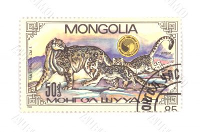 postage stamp panthera closeup