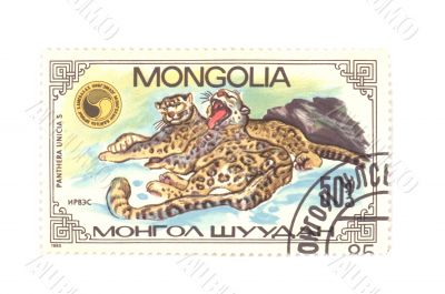 postage stamp panthera macro