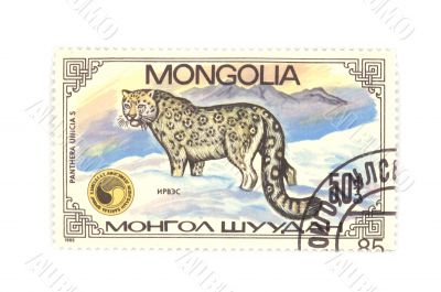 postage stamp panthera