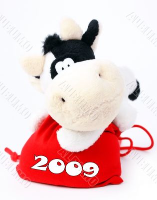 Cow On A Bag 2009
